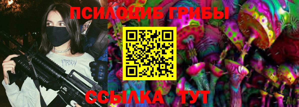 Псилоцибиновые грибы Psilocybe  Вход с VPN  Семёнов  Галлюциногенные грибы Magic Shrooms 